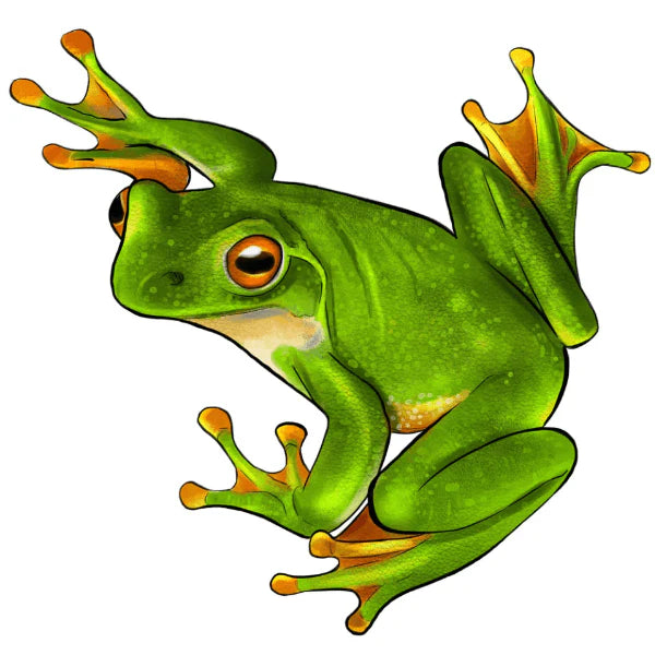 🔥Last Day - Frog - Wooden Jigsaw Puzzle